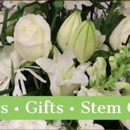 Stem Gallery - Florists