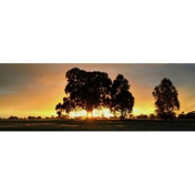Gallery Image Number 1