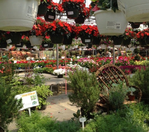 Strader's Garden Center - Columbus, OH