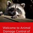 Animal Damage Control - Animal Removal Services