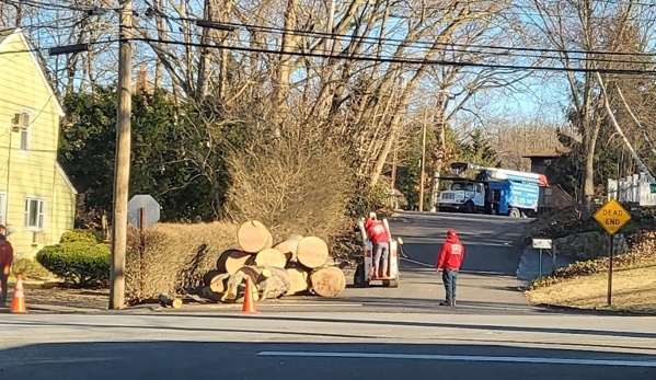 Anytown Tree Service Inc - Indianapolis, IN