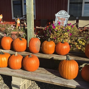 Anderson Tree Farm - Plainfield, IL