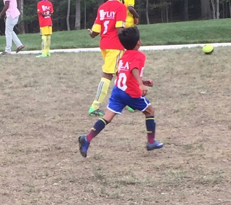 ELITE SOCCER YOUTH DEVELOPMENT ACADEMY inc - Silver Spring, MD