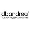 dbandrea Flower Preservation Firm gallery