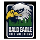 Bald Eagle Tree Solutions