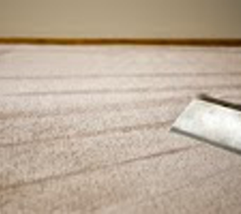 Steam Action Carpet Cleaning and Restoration Specialists - Youngstown, OH