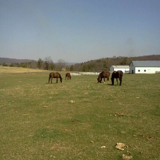 Penn's Cave & Wildlife Park - Centre Hall, PA