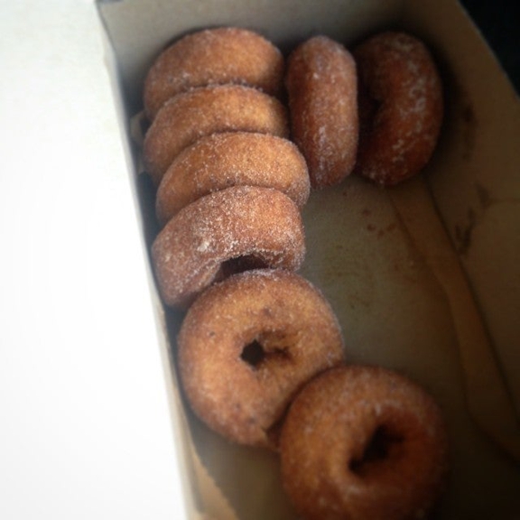 Cider Bellies Doughnuts - Meredith, NH