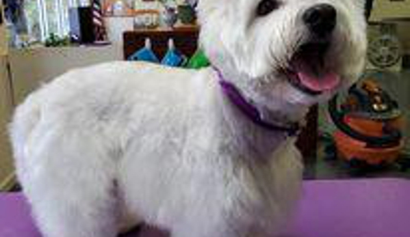 Pet's Paradise Grooming Salon and Spa - Newnan, GA