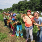 Poughkeepsie Farm Project