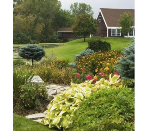 Wayne's Garden & Lawn Mowing Maintenance - Mermaid Waters, QLD
