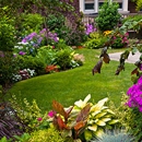 Tiger Stripes Lawn Maintenance - Landscaping & Lawn Services