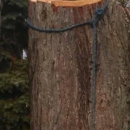 Brown's Tree Service - Arborists