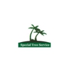 Special Tree Service gallery