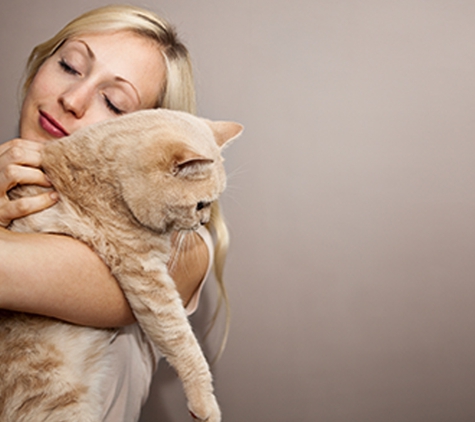 Duke Street Vet - Gympie, QLD