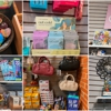 Poopsie's gallery