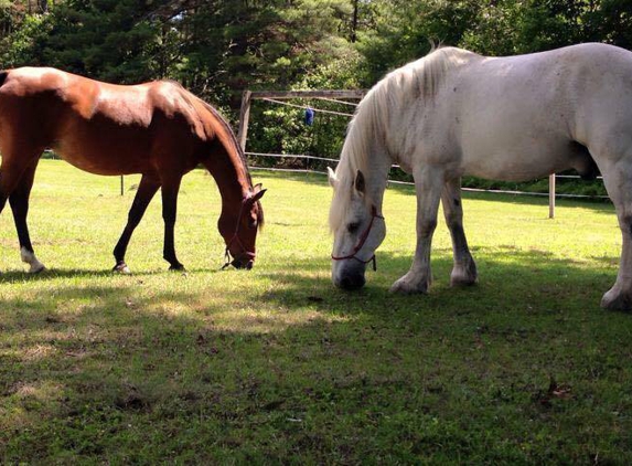 Barn Nanny - Lebanon, ME