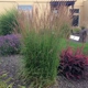 Jennifer's Landscape Designs