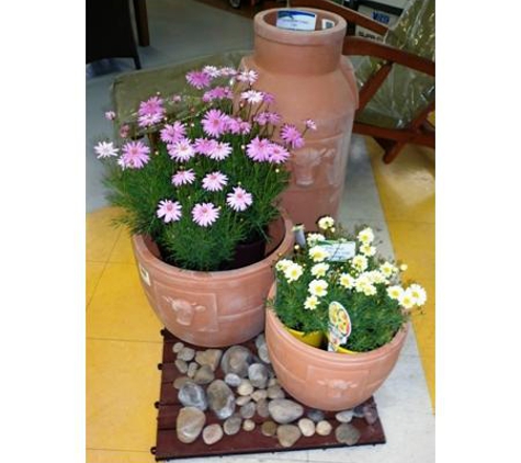 Mitre 10 Beaudesert - Beaudesert, QLD. Pots & Plants