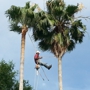 Texans Tree Service