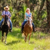 Wagon Wheel Horse Farm gallery