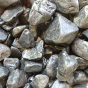 Gallery Image Number 7