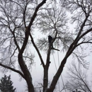 Senn's Tree Service