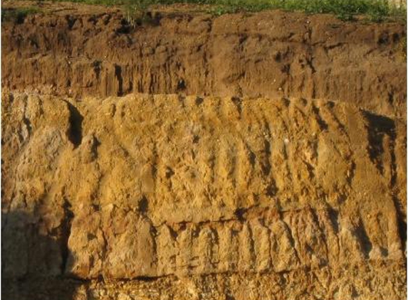 D M Lawrance Soil Testing Pty Ltd - Croydon North, VIC