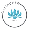 Lotus Gallacher gallery