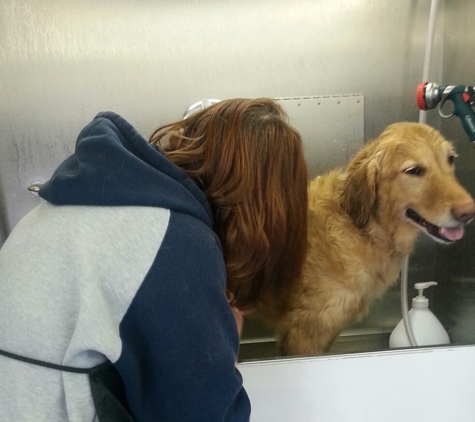 Splish Splash Mobile Dog Grooming - Oklahoma City, OK