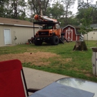 Andre Tree Service / Stump Grinding