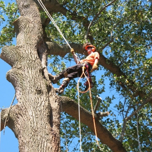 Forest Tree Service - Warr Acres, OK