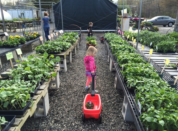 Honey & Sweets Farmstand - Port Republic, NJ