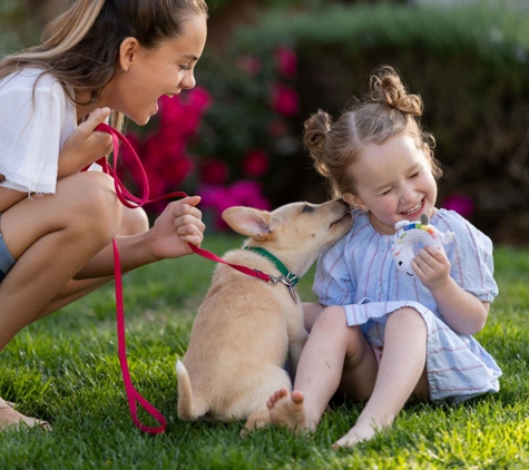 Aptive Pest Control - Phoenix, AZ