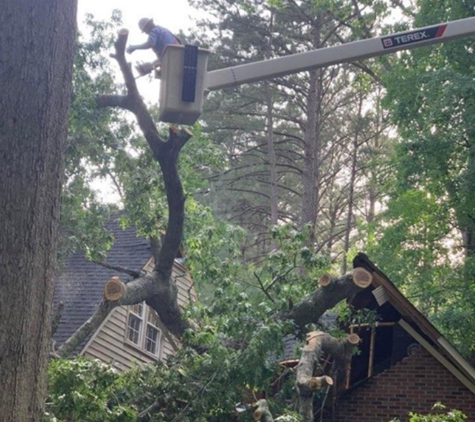 Phil Stone Tree Removal - Sanford, NC