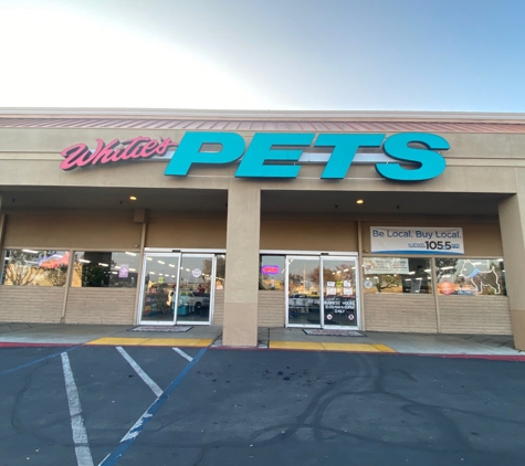 Whitie's Pets - Fresno, CA
