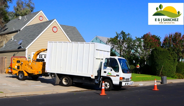 E and J Sanchez Tree Service - Fresno, CA. Palm and Tree Trimming, Pruning & Removal. Call us for a free quote!