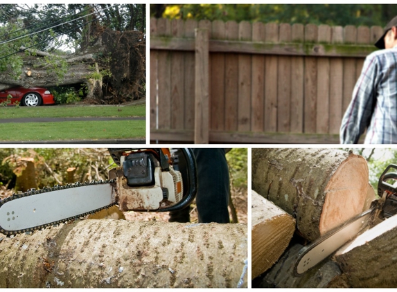 Quality Tree Services - Verona, NJ