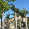 Village Commons Market gallery