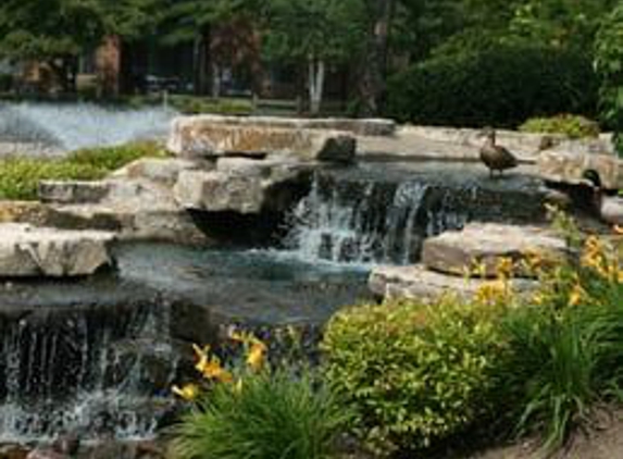 Arbor Lakes Apartments - Arlington Heights, IL