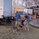 Sterl Hall Free Fair CKFF - Fairgrounds