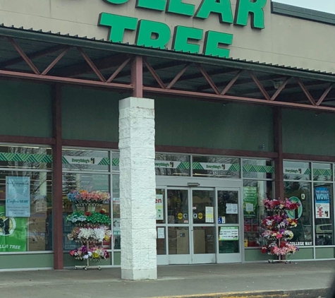 Dollar Tree - Mount Vernon, WA