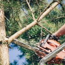 E and R Tree Services - Tree Service