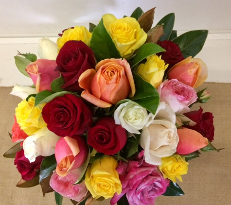 Daralea Garden Shop Pty. Ltd. - Taree, NSW