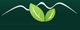 Blue Mountains Web Pty Ltd - Internet Marketing Services