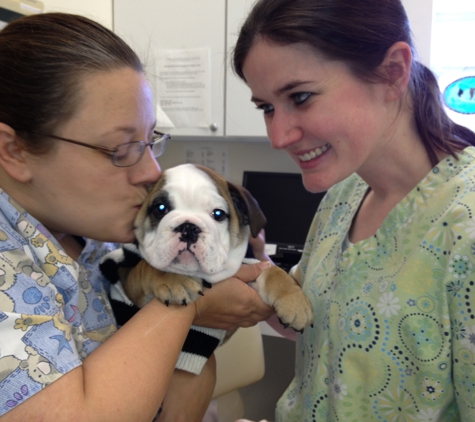 Whole Pet Veterinary Clinic - Madison, WI