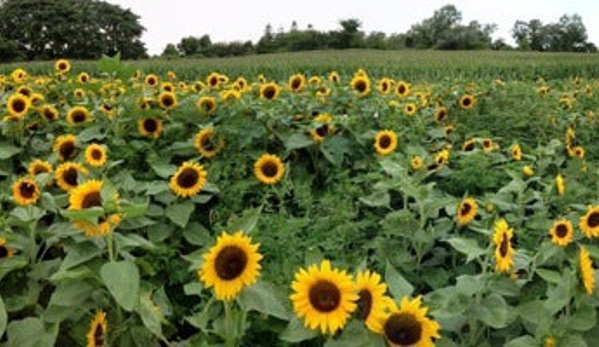 Hay Ground Mkt - Bridgehampton, NY