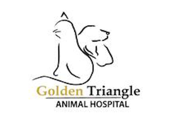 Golden Triangle Animal Hospital - Southlake, TX