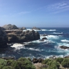 Point Lobos State Natural RSRV gallery