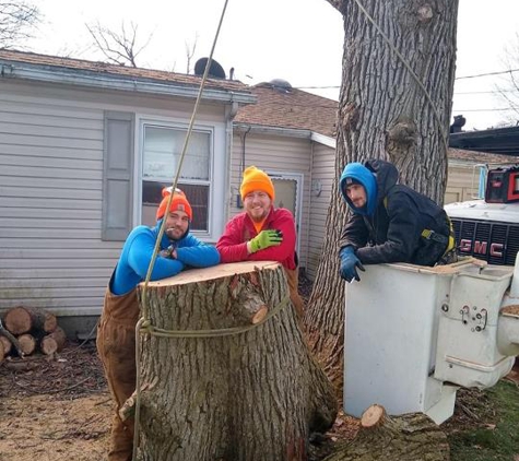 Wolford Tree Service - Tipton, IN